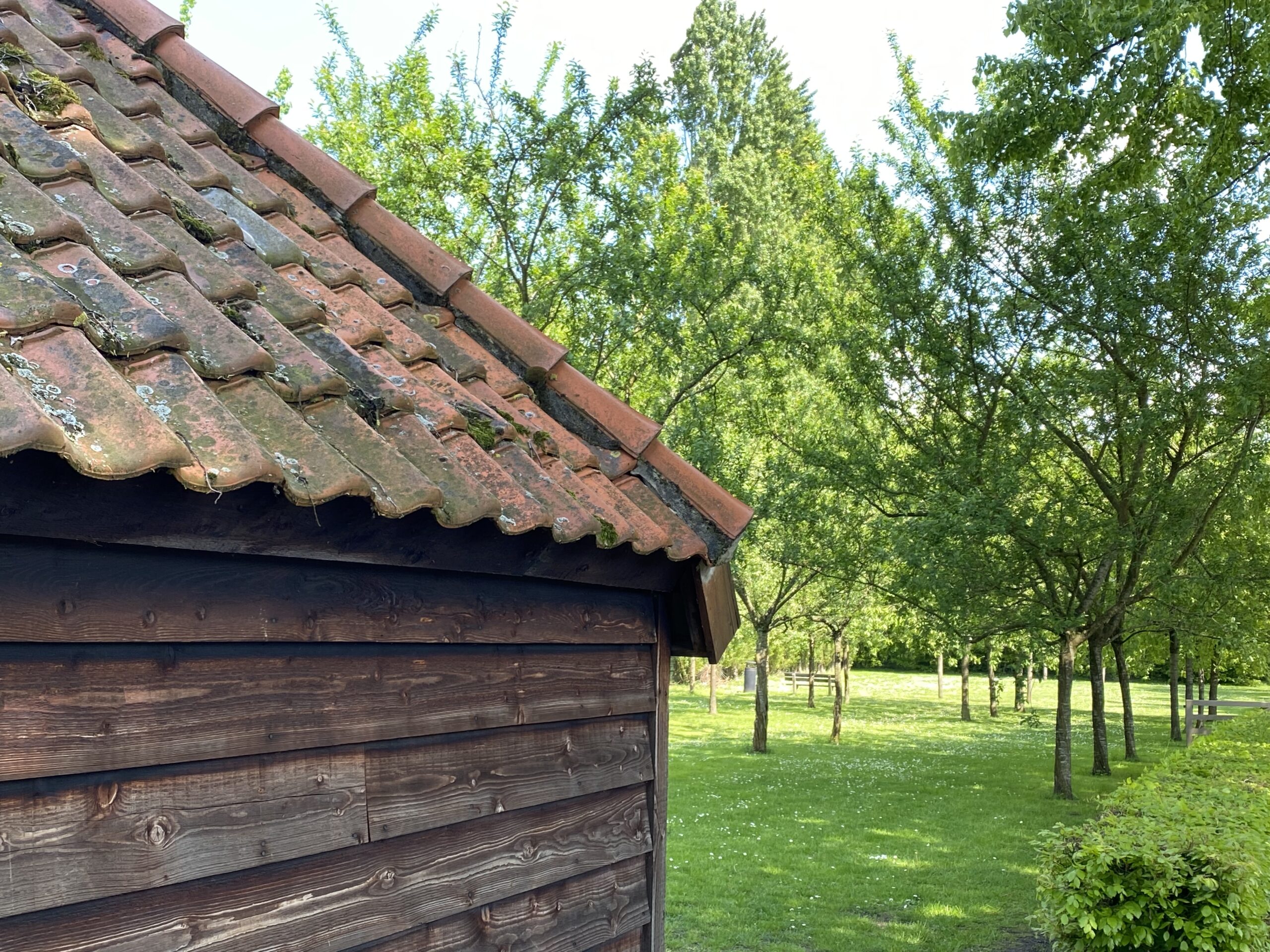 Lees meer over het artikel Eerste nieuwsbrief !