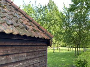 Lees meer over het artikel informatie-leaflet Kunst in De Schob