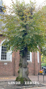 Lees meer over het artikel Bijeenkomst 11 januari 19.00 uur