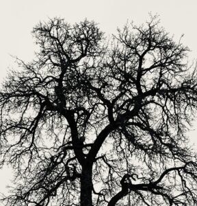 Lees meer over het artikel reminder !