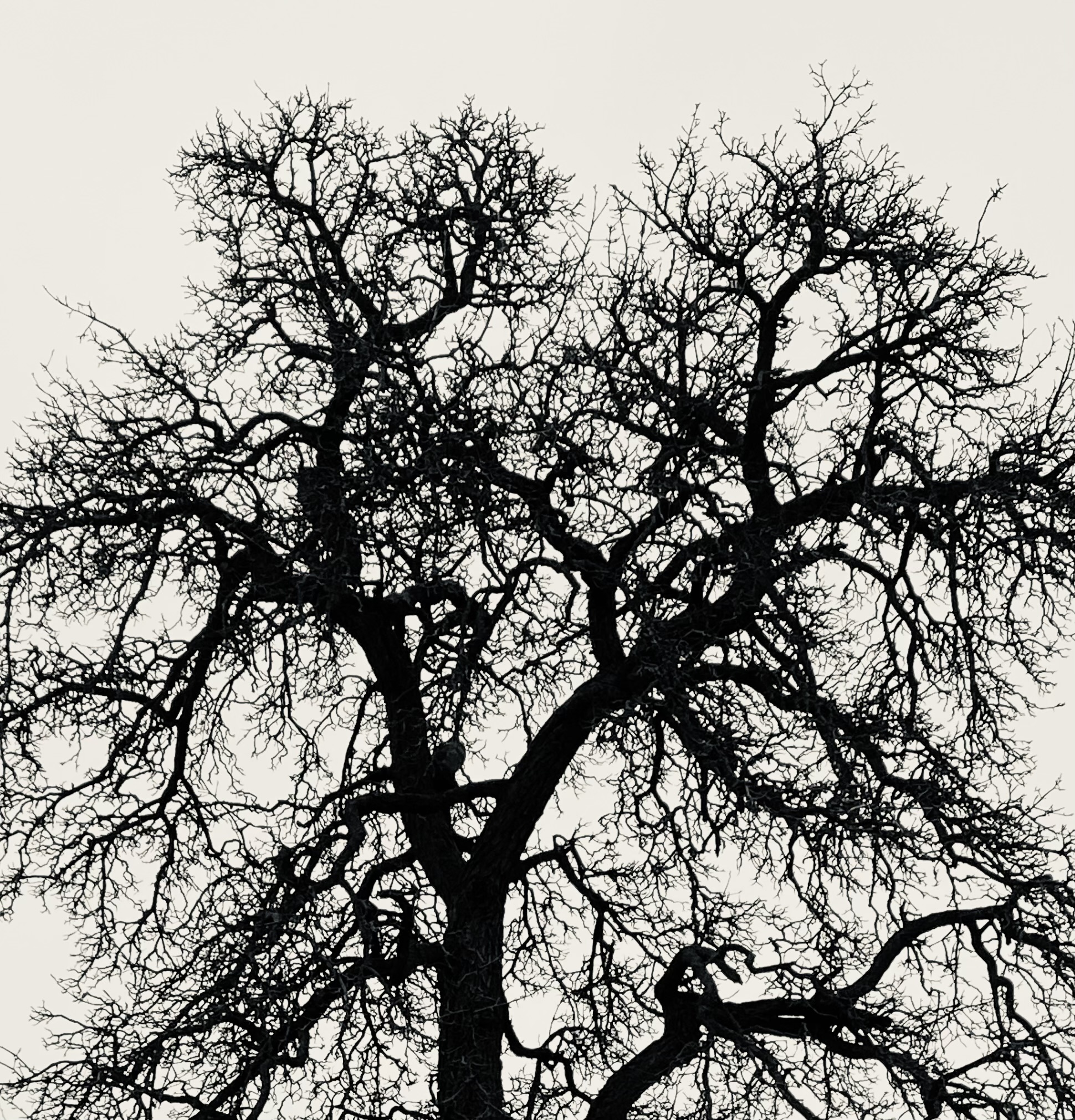 Lees meer over het artikel reminder !