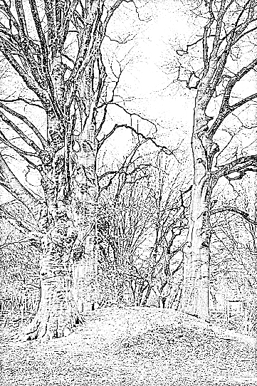 Lees meer over het artikel De Boom en Het Verhaal #2 – programma