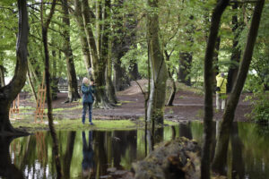 Lees meer over het artikel OPROEP DEELNAME EXPOSITIE