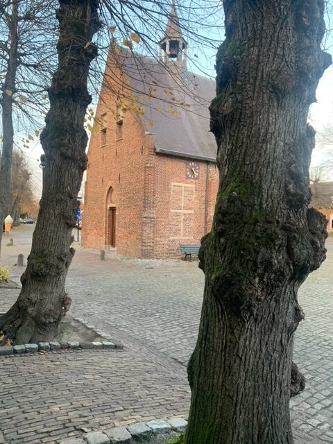 Lees meer over het artikel De Boom en Het Verhaal – meer dan een lezing