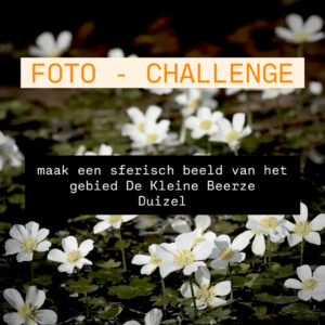 Lees meer over het artikel Foto-Challenge