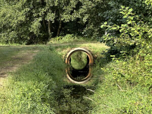 Lees meer over het artikel LandArt wandelroute in Duizel krijgt vorm